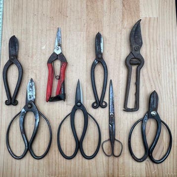 Japanese Bonsai & Ikebana Shears Set CA439 Wabi Sabi Japan -