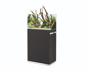 Oase ScaperLine 60 Set Zwart, Ophalen of Verzenden, Nieuw