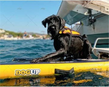 DOG UP — opblaasbare hondentrap voor de boot, Ophalen of Verzenden, Nieuw
