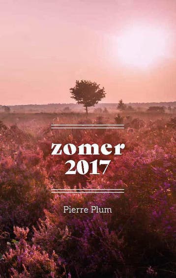 Zomer 2017 - Pierre Plum 9789073626935, Boeken, Verzenden, Zo goed als nieuw, Pierre Plum