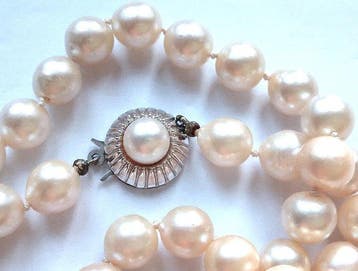 Kralensnoer 14 kt witgoud - Akoya parels tot 8 mm - 48 cm