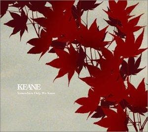 cd single card - Keane - Somewhere Only We 2tr, Cd's en Dvd's, Cd Singles, Zo goed als nieuw, Pop, Verzenden