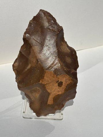 Paleolithisch silex Bijl - 16 cm (Zonder minimumprijs)