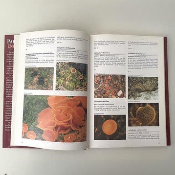 Paddenstoelen encyclopedie - Keizer, Verzenden, Gelezen