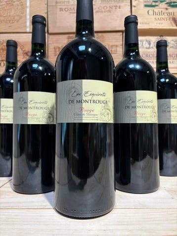 2020 Domaine Les Esquirots de Montrouge - Gasconie - 6, Nieuw