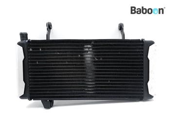 Radiateur Suzuki SV 1000 S / N 2003-2007 (SV1000N SV1000S, Verzenden, Gebruikt
