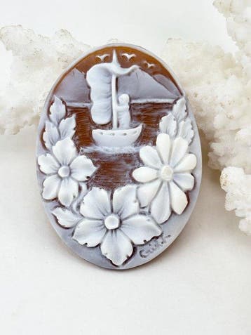 Zonder reserveprijs Cassis madagascariensis - Cameo -