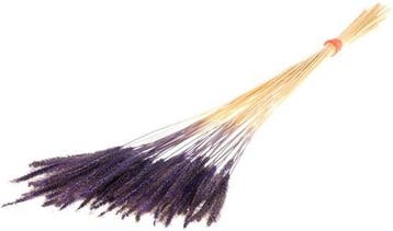 Soft Worms Grass alternatief voor Lagurus Purple, Huis en Inrichting, Ophalen of Verzenden, Nieuw