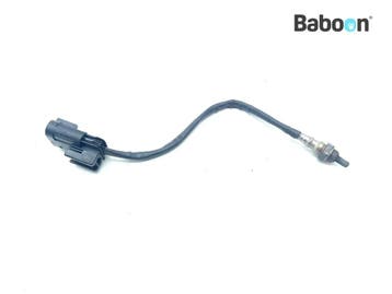 Lambda Sonde Royal Enfield Interceptor 650 2018-2021 Right, Verzenden, Gebruikt