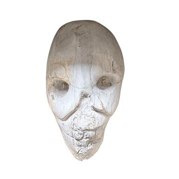 Versteend hout - Gefossiliseerd hout - Agathoxylon sp - 27, Antiek en Kunst, Curiosa en Brocante