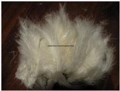 Veren Fluffy Echte veertjes Wit 15 stuks, Ophalen of Verzenden, Nieuw