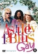 Absolutely fabulous - gay - DVD, Cd's en Dvd's, Verzenden, Nieuw in verpakking
