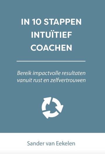 9789493187443 In 10 stappen - In 10 stappen intuitief coa..., Verzenden, Zo goed als nieuw, Sander van Eekelen