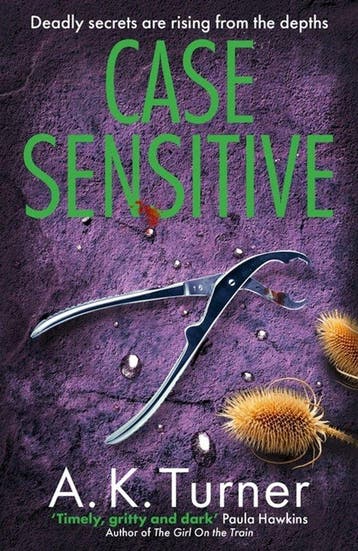 Cassie Raven- Case Sensitive 9781804180594 A. K. Turner, Verzenden, Gelezen, A. K. Turner