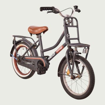 Nogan kinderfiets 16 inch, Ophalen of Verzenden, Gebruikt, Nogan