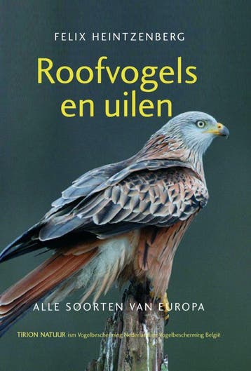Roofvogels en uilen - F. Heintzenberg 9789052107189, Verzenden, Gelezen, F. Heintzenberg