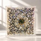 Mike Blackarts - Butterflies in Bloom. Contemporary 3D