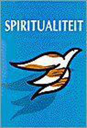 SPIRITUALITEIT - VAN T SPIJKER 9789061402565, Verzenden, Gelezen, VAN 'T SPIJKER