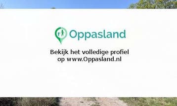 Anke zoekt een oppas in Twello voor 2 kinderen op dinsdag...