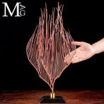 Prachtige rode Gorgonia op een houten en messing basis