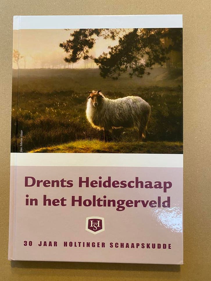 Drents Heideschaap in het Holtingerveld - NIEUW, Boeken, Dieren en Huisdieren, Zo goed als nieuw, Vee, Ophalen of Verzenden