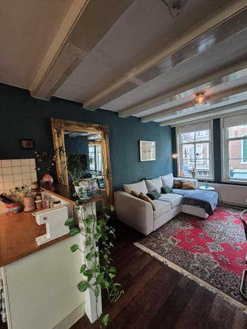 Huis aan Nieuwe Spiegelstraat, Amsterdam, Amsterdam