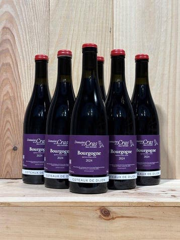 2024 Marc Soyard - Coteaux de Dijon - 6 Flessen (0.75 liter), Nieuw