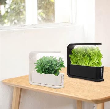 Hydrocultuur Planter met LED Grow Light voor Kruiden, Verzenden, Nieuw