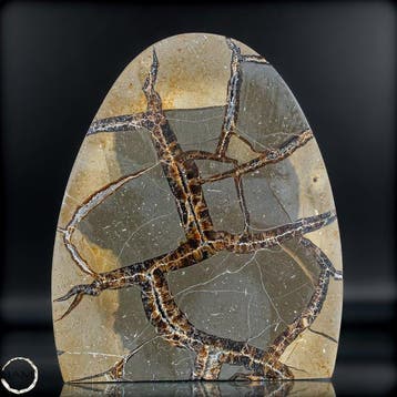 Septarien vrije vorm met druse – natuurlijke structuur