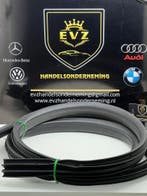 Ford Focus  portier rubber links achter 2013 ArtnrBM51A20530, Gebruikt, Links, Ford
