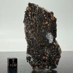 Exclusief!!!! NWA 13573. De eerste ter wereld die