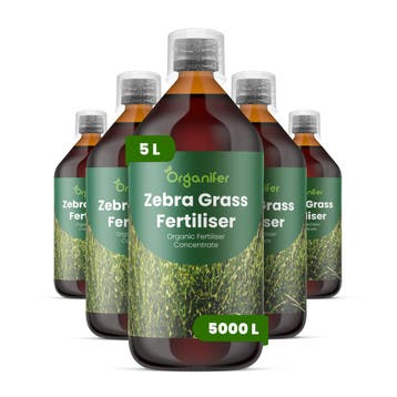 Vloeibare meststof voor zebragras - Set 5x1 liter, Verzenden, Mest