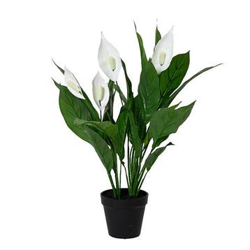 Kunstplant Lepelplant | Decoris | 60 cm (In pot), Verzenden, Nieuw