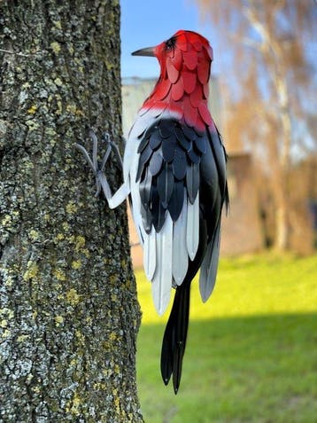 sculptuur, Bonte specht XL - 55 cm - IJzer, Antiek en Kunst