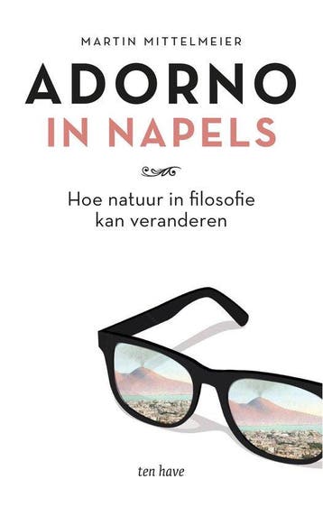 Boek Adorno in Napels 9789025908676, Boeken, Verzenden, Zo goed als nieuw