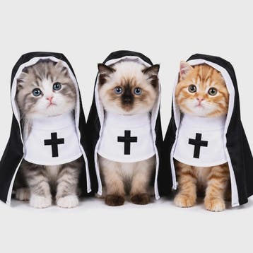 Grappig Nonnenkostuum voor Huisdieren - Halloween & Feest Ou, Verzenden, Nieuw