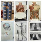 J McGregor-Robertson. - The Family Physician - 1910