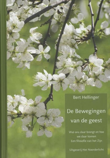 De Bewegingen van de Geest - Bert Hellinger 9789077290200, Boeken, Verzenden, Zo goed als nieuw, Bert Hellinger