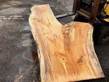 Opruiming:7X Boomstambladen, complete partij 650,- REF 772, Nieuw, Ophalen of Verzenden, 250 tot 300 cm, Plank