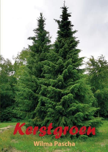 Kerstgroen - Wilma Pascha 9789463900461, Verzenden, Gelezen, Wilma Pascha