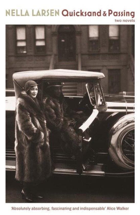 Quicksand & Passing - Nella Larsen 9781846687853, Boeken, Taal | Engels, Gelezen, Verzenden