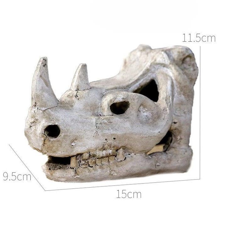 Dinosaurus kenschedel OS-219 - aquarium decoratie, Dieren en Toebehoren, Vissen | Aquaria en Toebehoren, Nieuw, Ophalen of Verzenden