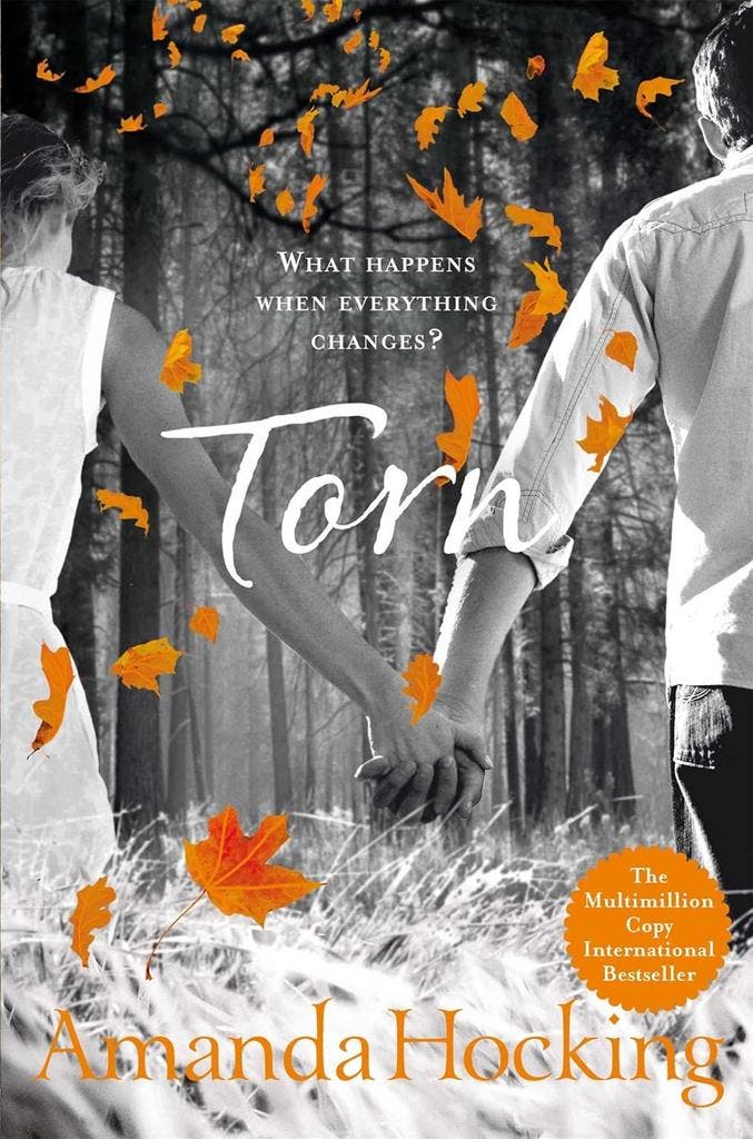 Torn - EN - Amanda Hocking - Paperback, Boeken, Taal | Engels, Gelezen, Fictie, Ophalen of Verzenden