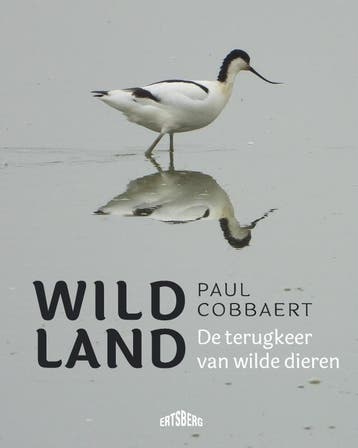Wild Land | Paul Cobbaert | Nieuw, Ophalen of Verzenden, Nieuw, Paul Cobbaert
