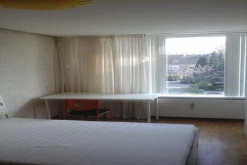 Kamer s-Gravensingel in Rotterdam, 20 tot 35 m², Rotterdam