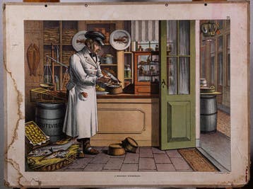 SCHOOLPLATENSHOP.NL een site met oude schoolplaten en ......, Natuur en Biologie