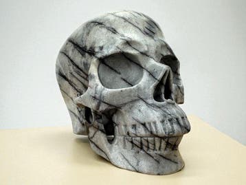 Network Jasper Gesneden schedel - Jasper - 9.5 cm - 8.5 cm -
