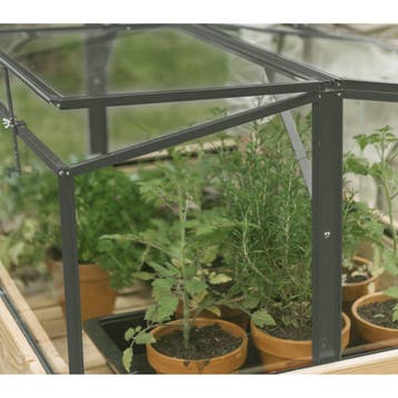 Royal Well Parsley Planter small broeikas 60x80x46cm -, Tuin en Terras, Verzenden, Nieuw