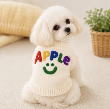 Gebreide honden trui Apple – Ecru (Truien, Hondenkleding), Dieren en Toebehoren, Ophalen of Verzenden, Nieuw, Hondenvest