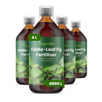 Vioolbladplant Vloeibare meststof - 4x1 liter, Verzenden, Mest
